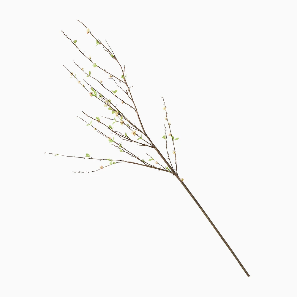 Faux Blossom Branch | West Elm