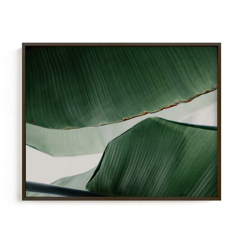 Leaf & Light 4 Framed Wall Art by Minted for West Elm |