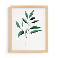 Ruscus, Curry Tree & Magnolia Framed Wall Art by Minted for West Elm |