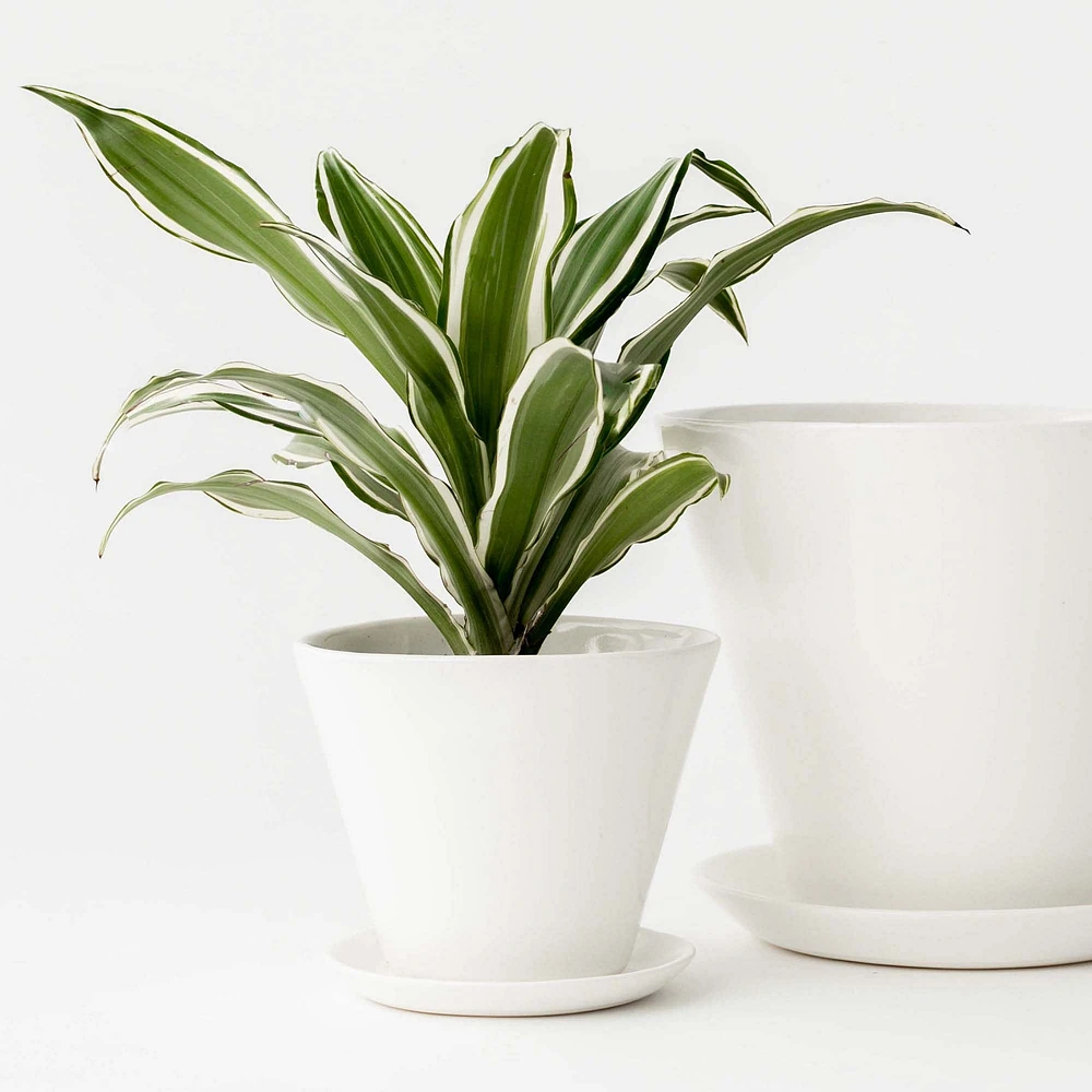 Convivial Minimal Planter | West Elm