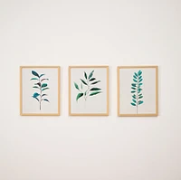 Ruscus, Curry Tree & Magnolia Framed Wall Art by Minted for West Elm |