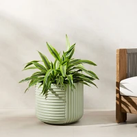 Cecilia Ficonstone Indoor/Outdoor Planters | West Elm