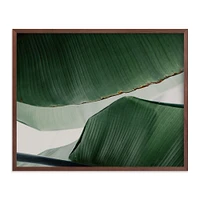 Leaf & Light 4 Framed Wall Art by Minted for West Elm |