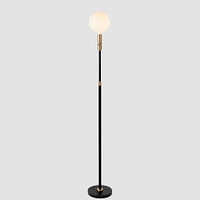 Tala Poise Adjustable Floor Lamp | West Elm