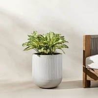 Textured Radius Ficonstone Indoor/Outdoor Planters | West Elm