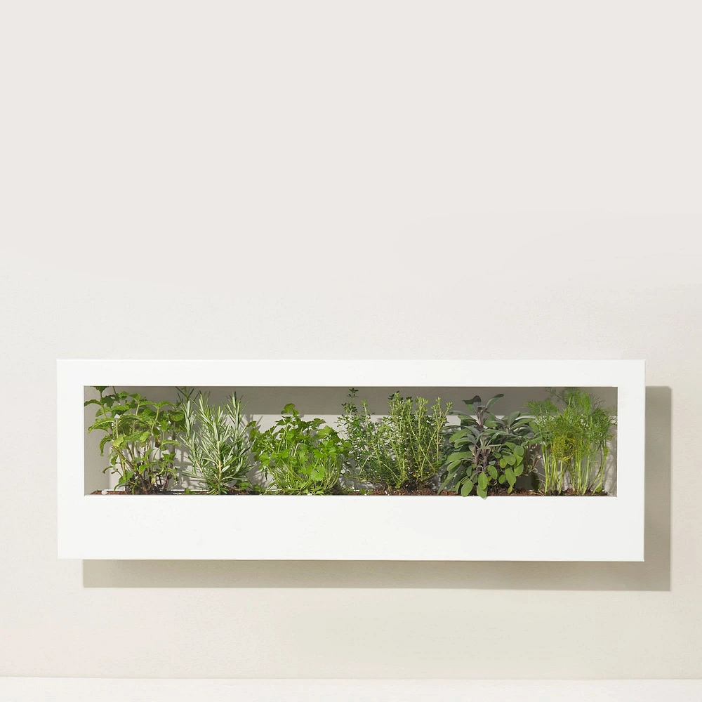 Modern Sprout Landscape Growframe | West Elm