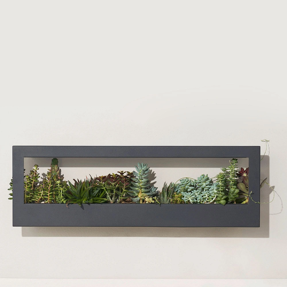 Modern Sprout Landscape Growframe | West Elm