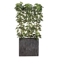 Faux Potted Eva Schefflera Tree w/ Planter | West Elm