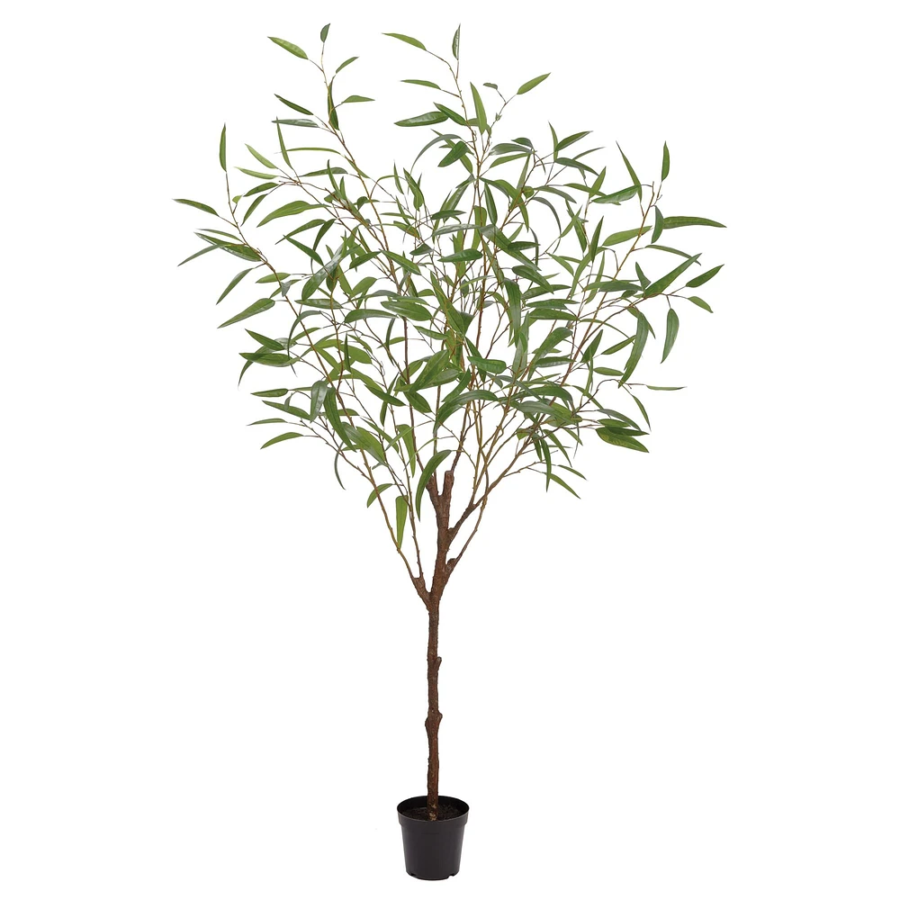 Faux Potted Eucalyptus Tree | West Elm