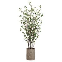 Faux Potted Cornus Tree w/ Planter | West Elm