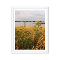 Golden Fields Framed Print by Morgan Ashley | West Elm