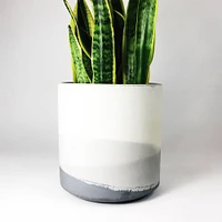 SETTLEWELL Straight-Sided Concrete Pot