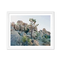 Joshua Tree Framed Print by Morgan Ashley | West Elm