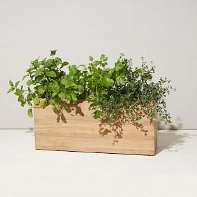 Hydroplanter