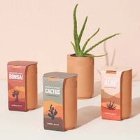 Modern Sprout Terracotta Assorted Grow Kit | West Elm