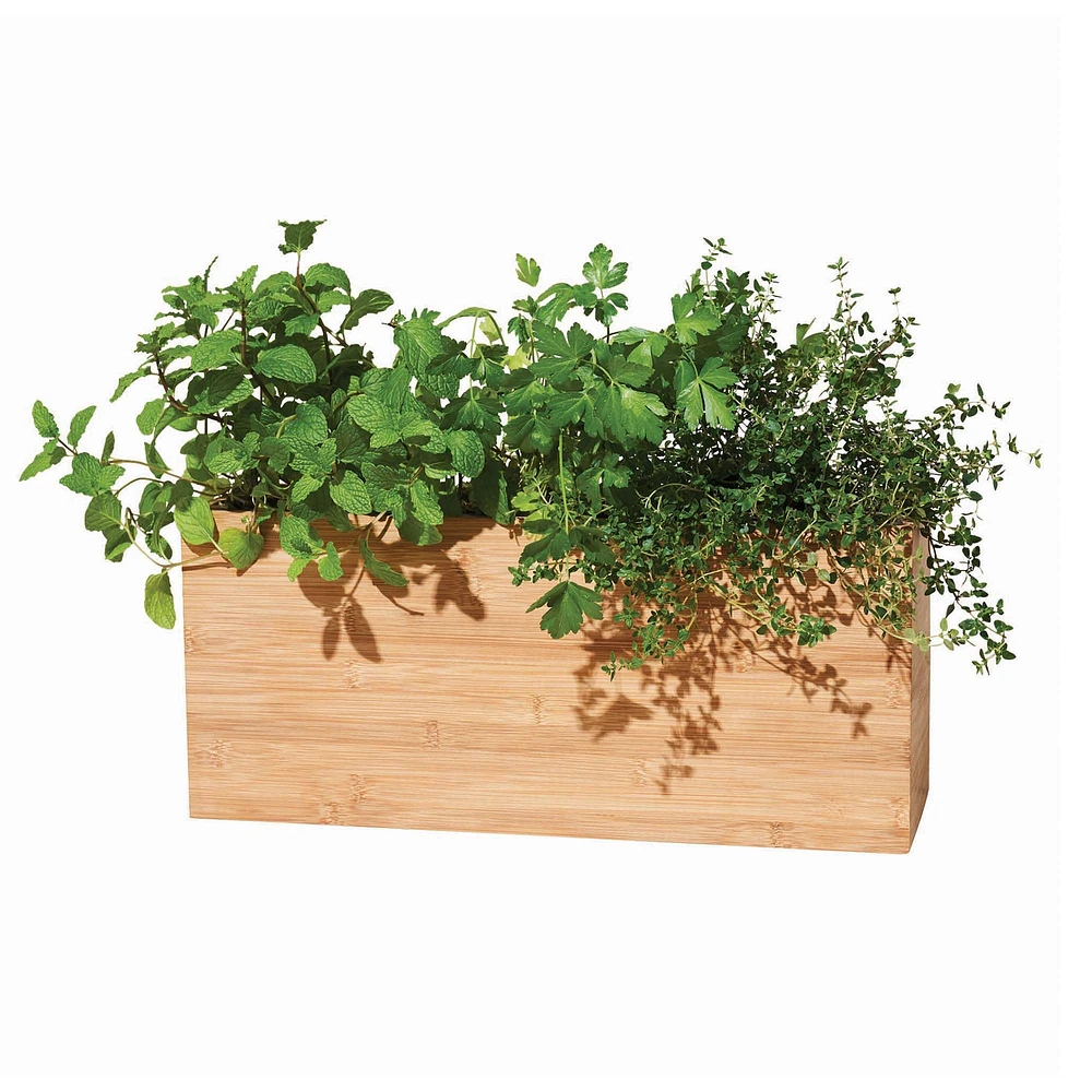 Modern Sprout Smart Hydroplanter | West Elm