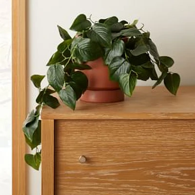 Faux Potted Green Philodendron, Medium