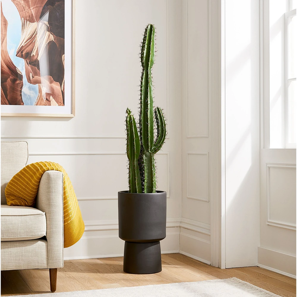 Faux Potted Cactus Plant & Medium Bishop Planter Bundle | West Elm