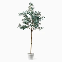 Faux Potted Olive Tree | West Elm