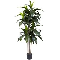 Faux Dracaena Plant | West Elm