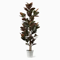 Faux Potted Rubber Tree | West Elm