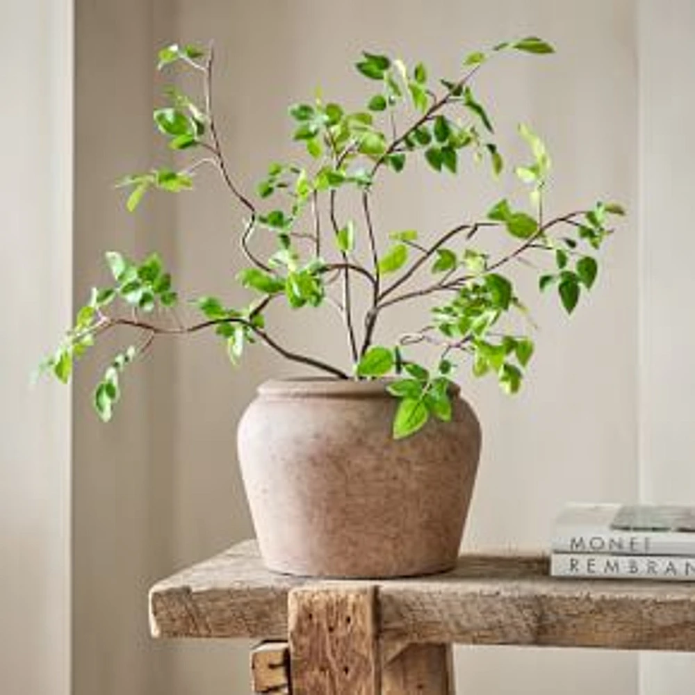 Faux Potted Tabletop Bursera Bipinnata Plant, Version 1, Green