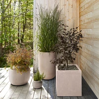 Basic Planter Bundle | West Elm