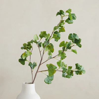 Faux Gingko Branch - Green | West Elm