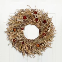 Dried Desert Sun Wreath | West Elm