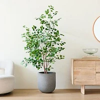 Faux Potted Ficus Tree & Radius Storm Gray Medium Floor Planter