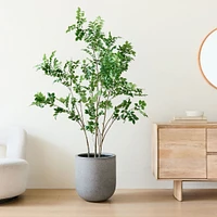 Faux Potted Green Leaf Tree & Radius Planter Bundle | West Elm