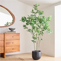 Faux Potted Green Leaf Tree | West Elm