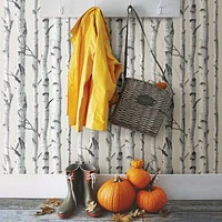 Birch Tree Peel & Stick Wallpaper