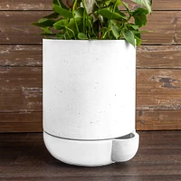 The Simple Self-Watering Pot | West Elm