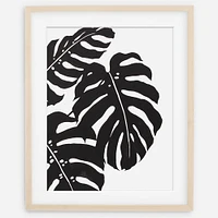 Monstera Deliciosa Trio, Natural Frame, 11" x 14"