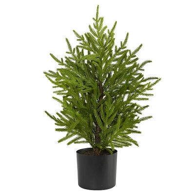 Faux Potted Norfolk Island Pine Tree, 2ft