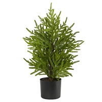 Faux Potted Norfolk Island Pine Tree, 2ft