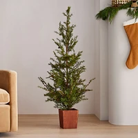 Faux Potted Alpine Tree w/ Pine Cones | West Elm