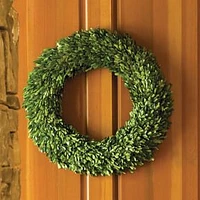 Boxwood Wreath, 24"