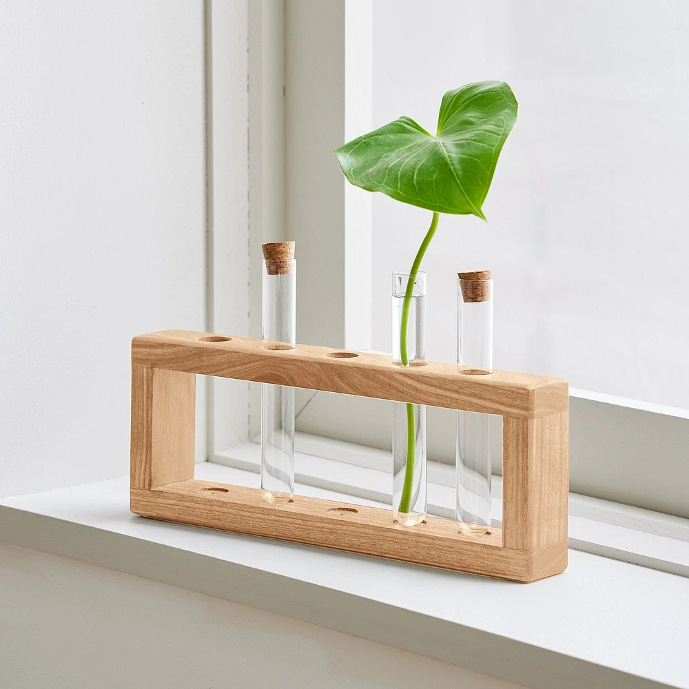 StoneWon Designs Co. Propagation Station | West Elm