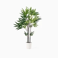 Faux Potted Fern Tree | West Elm