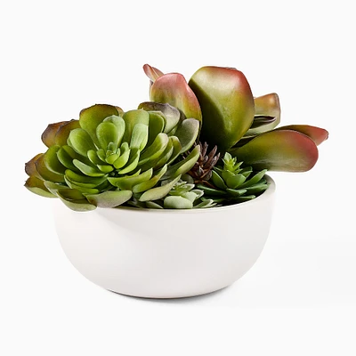 Faux Potted Succulent Arrangement w/ Planter | West Elm