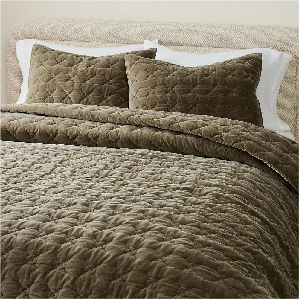 Embroidered Washed Velvet Quilt & Shams | West Elm