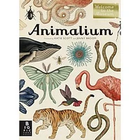 Animalium