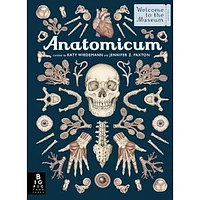 Anatomicum