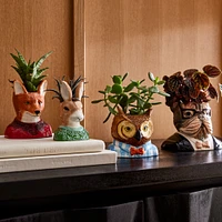 Dapper Animal Planters | West Elm