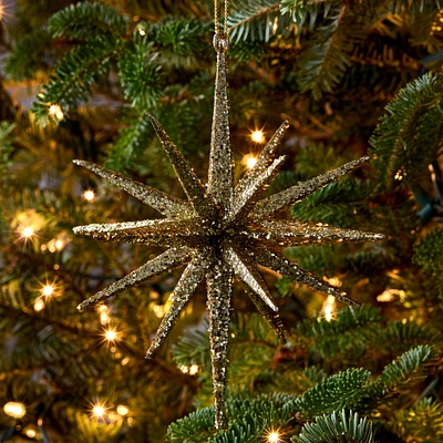 Celestial Burst Ornament | West Elm