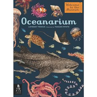 Oceanarium