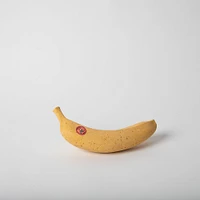 Pretti.Cool Banana | West Elm