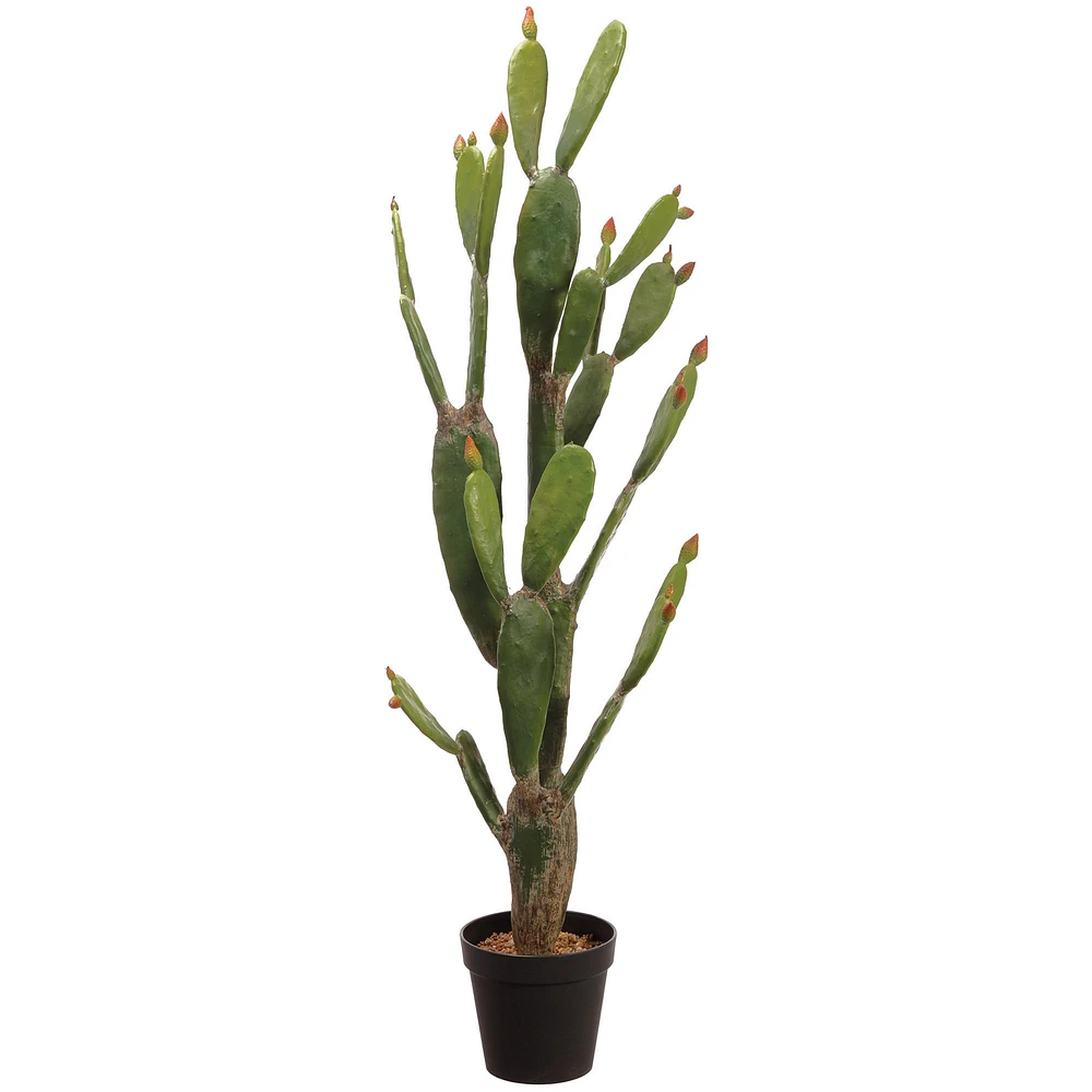 Faux Potted Bunny Ear Cactus W/ Planter, 5', Green